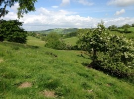 Yorkshire Wolds