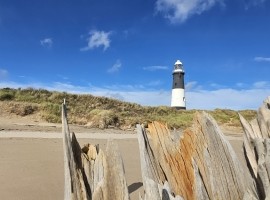 Spurn Birding Holiday - Spring Migrants 2026