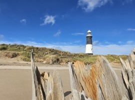 Spurn Birding Holiday - Spring Migrants 2024