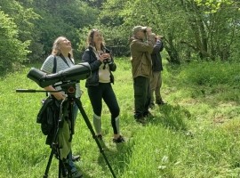 Birdwatching Courses - Beginners and Intermediate Levels 2024