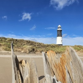Spurn Birding Holiday - Spring Migrants 2026