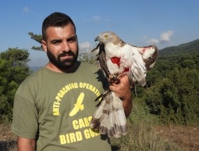 Direct Action: The Committee Against Bird Slaughter (CABS)