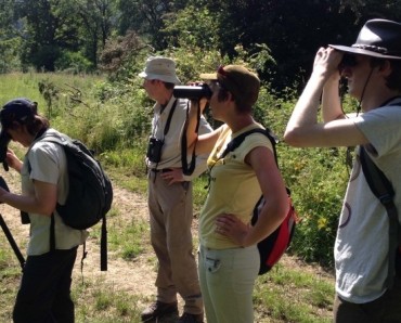 Tailor Made Birding and Wildlife Tours
