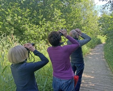 Wildlife & Birdwatching