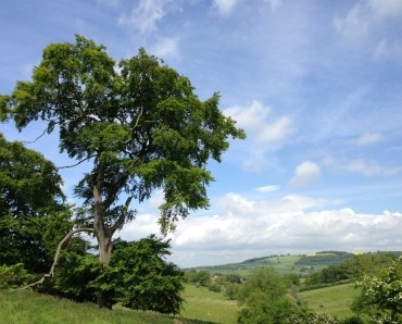 East Yorkshire