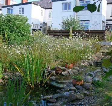 British Wildlife Magazine Review 'The Rarity Garden'