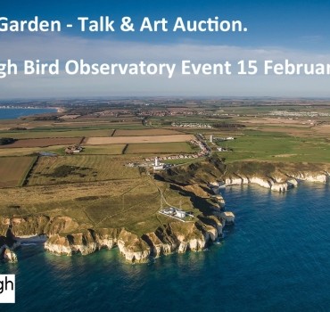 Rarity Garden - Art Auction - Flamborough Bird Observatory 15 Feb
