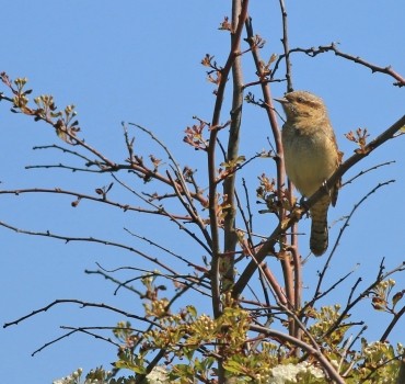 Spurn in spring - an unforgettable YCN Week!