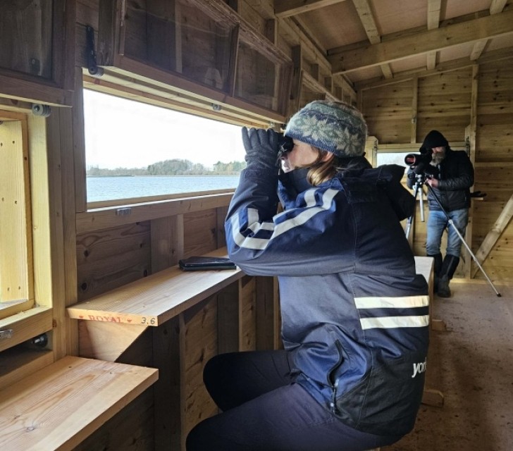 Accessible Wildlife Tours - Top Hill Low Nature Reserve