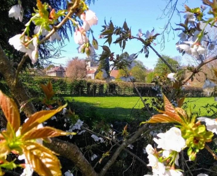 Damson Croft