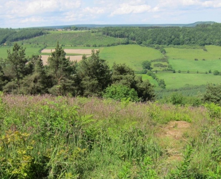 North Yorkshire Forests