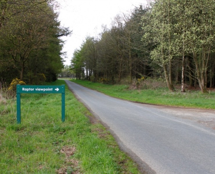 North Yorkshire Forests