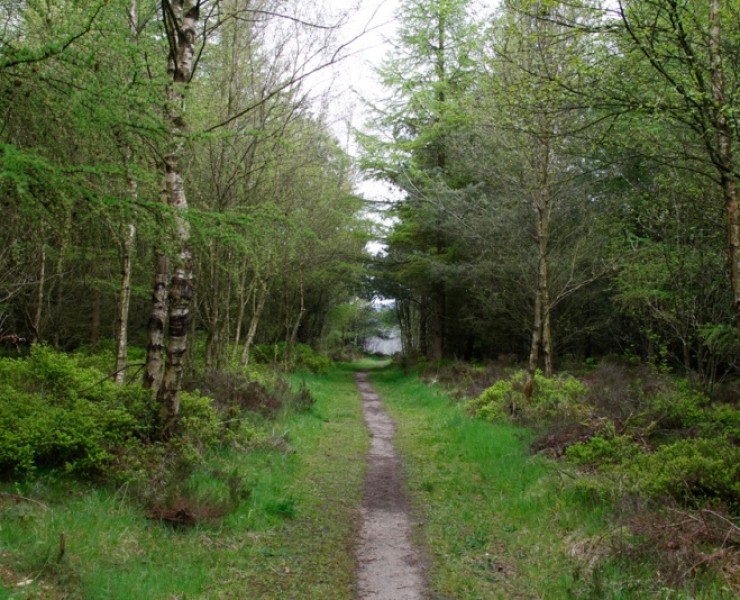 North Yorkshire Forests
