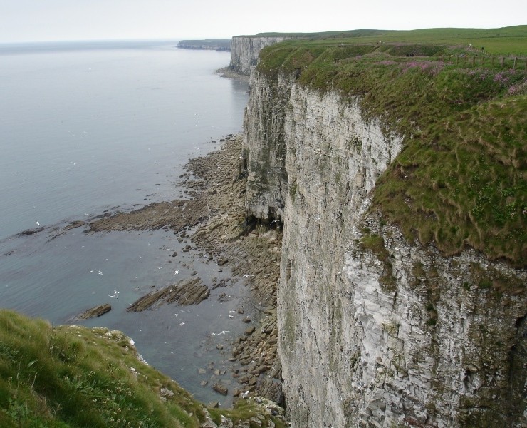 Bempton Cliffs RSPB Reserve