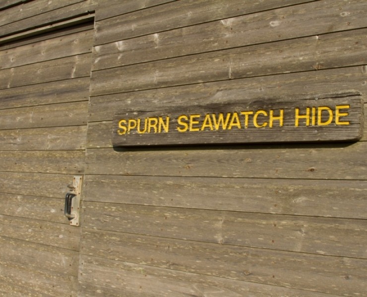 Spurn Point