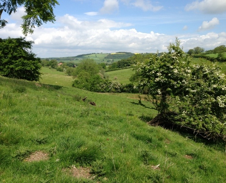 Yorkshire Wolds