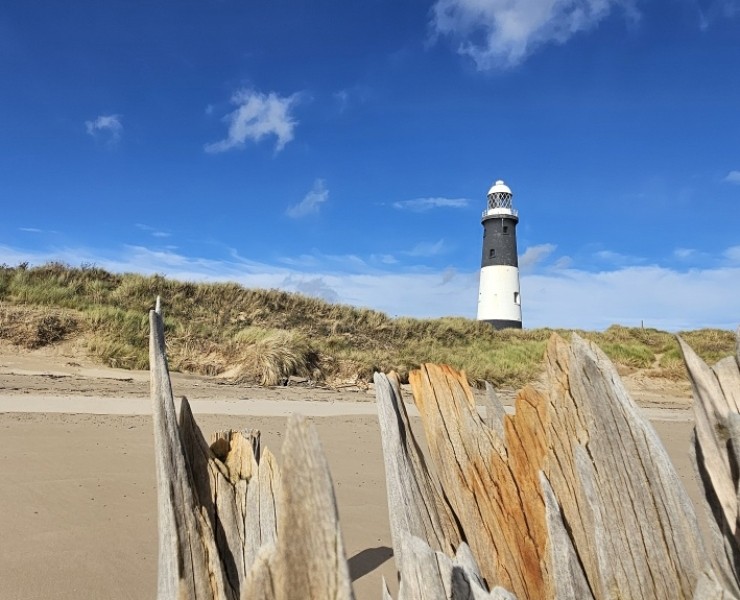 Spurn Birding Holiday - Spring Migrants 2026