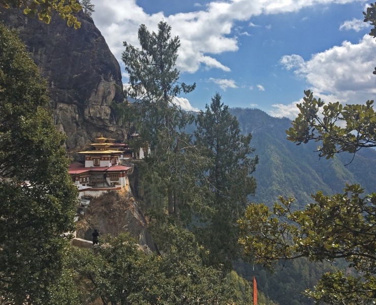 Bhutan - Birding And Wildlife Spring 2024