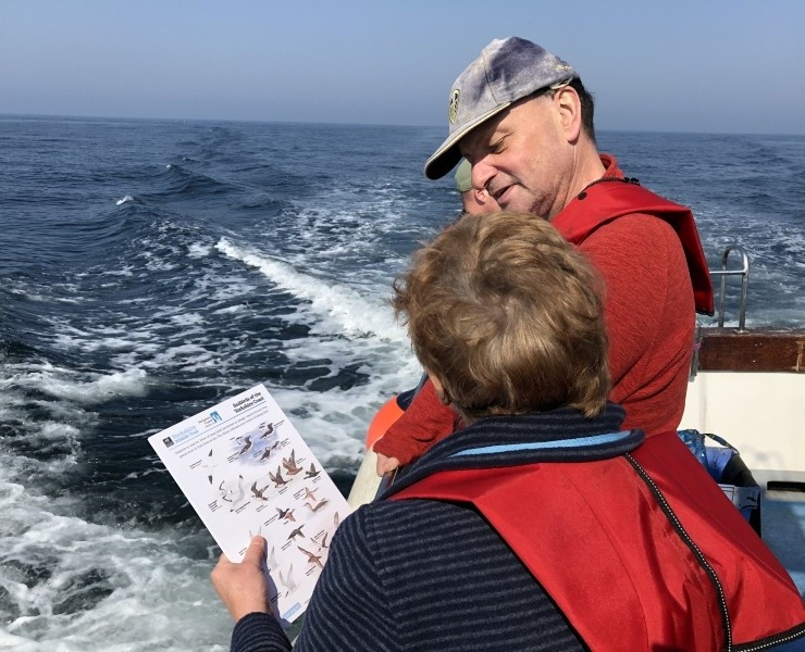 Seabirds And Whales - Twilight Trips 2027