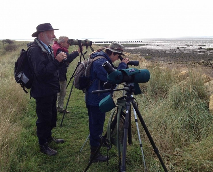 Spurn Migration Festival 2016