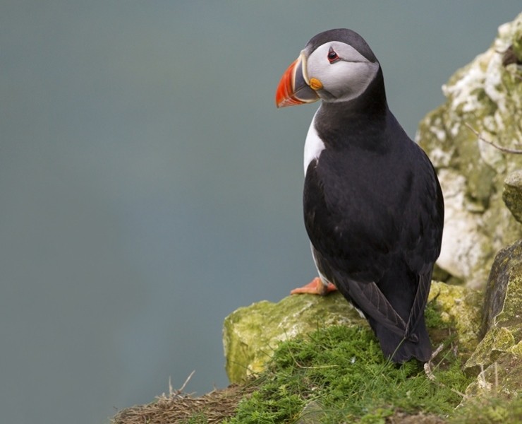 2025 Wildlife Photography For Beginners Workshop