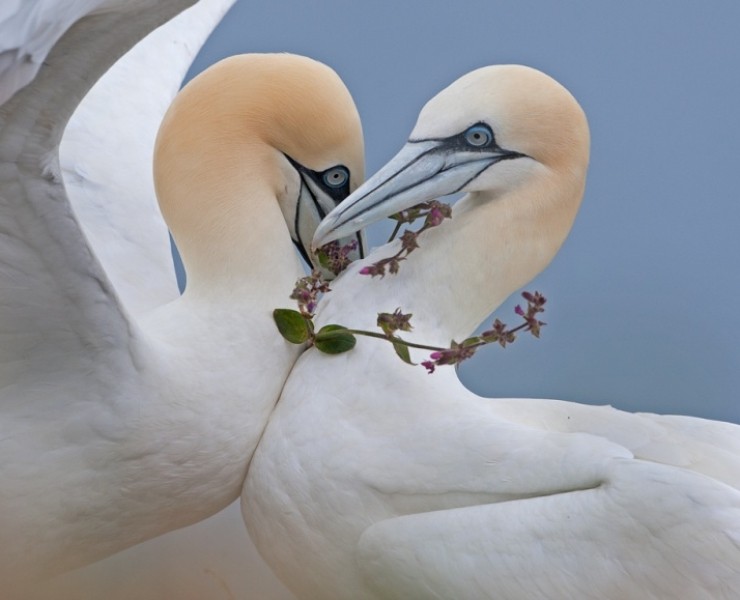 2025 Wildlife Photographer Experience Days