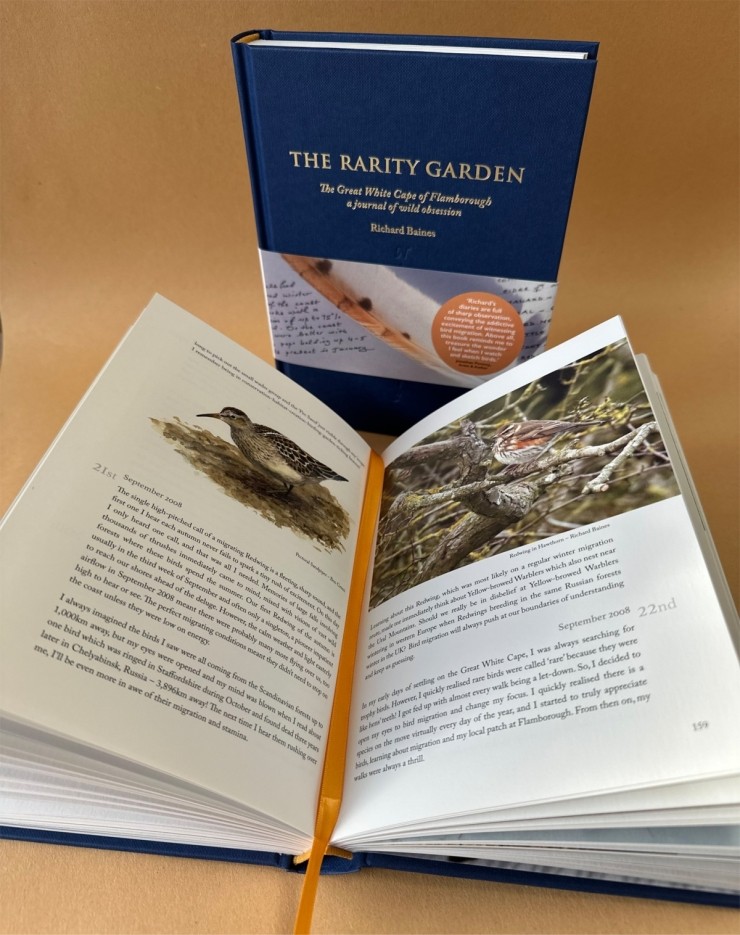 The Rarity Garden