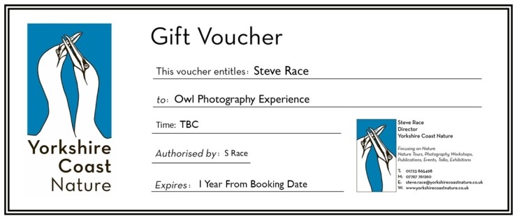 Owl Photography Gift Voucher