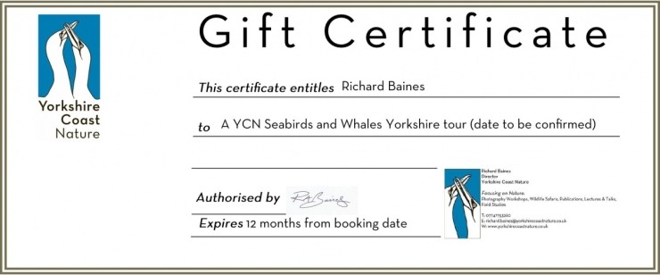 Seabirds and Whales Day Trips Gift Voucher