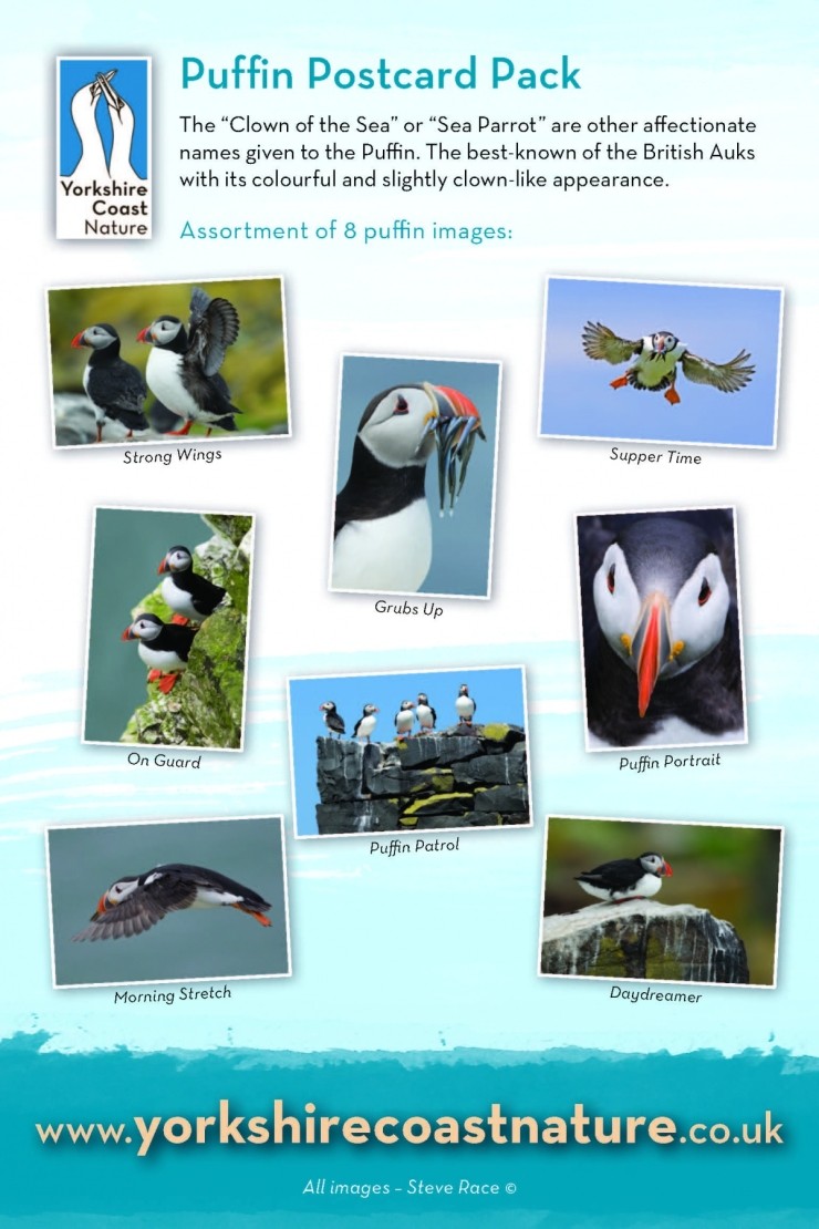Puffin Postcard Pack