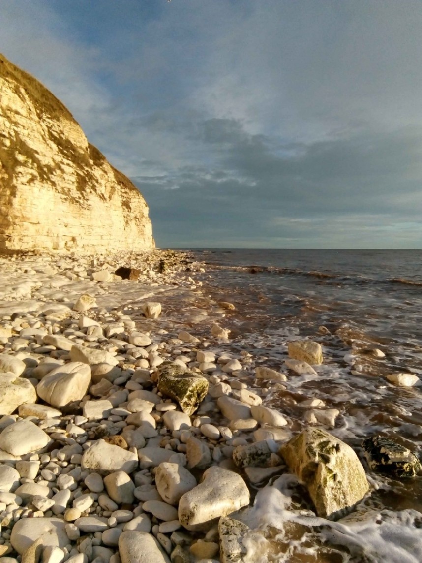  High Tide © Susie O'Neill