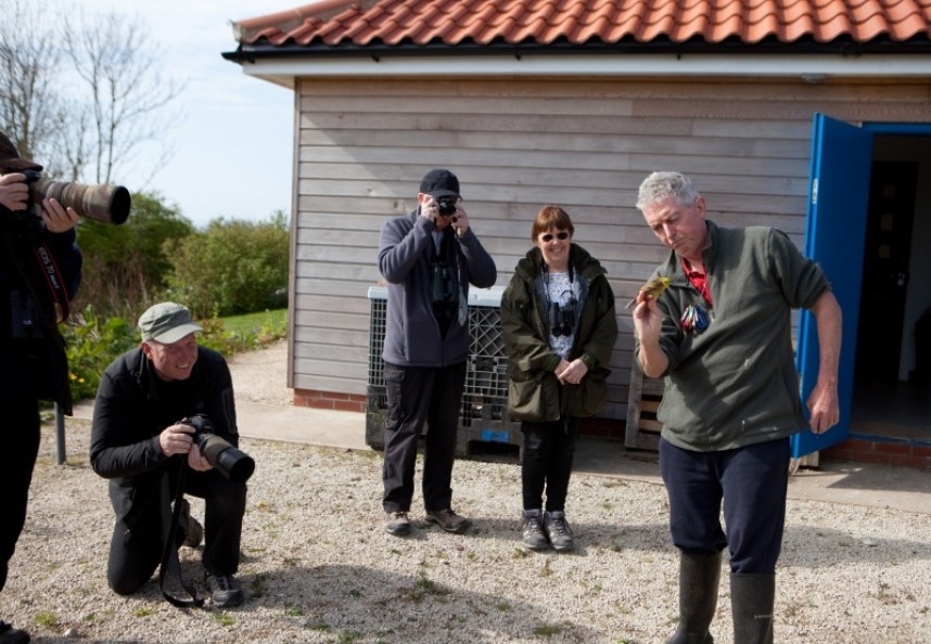  Ringing demo at Flamborough Bird Observatory © Richard Baines