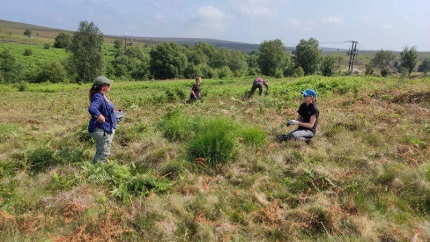  Yorkshire Wildlife Trust volunteers carrying out habitat work at Fen Bog