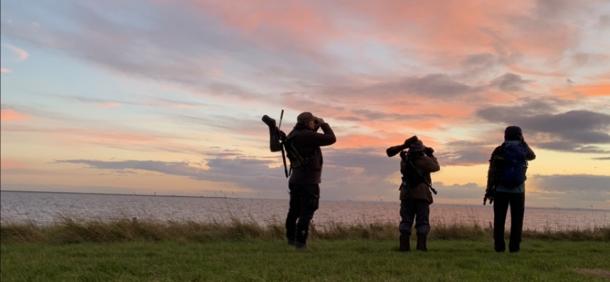  Sunset over the Humber after watching five Short-eared Owls © Richard Baines