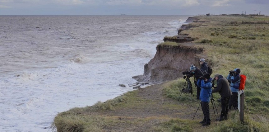  Seawatching at Spurn © Richard Baines