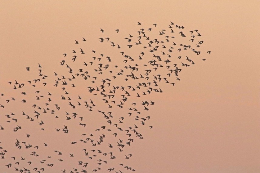  Moving away © Richard Baines