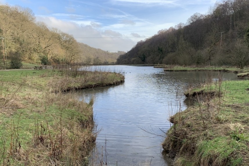  Nettle Dale Lakes © Richard Baines