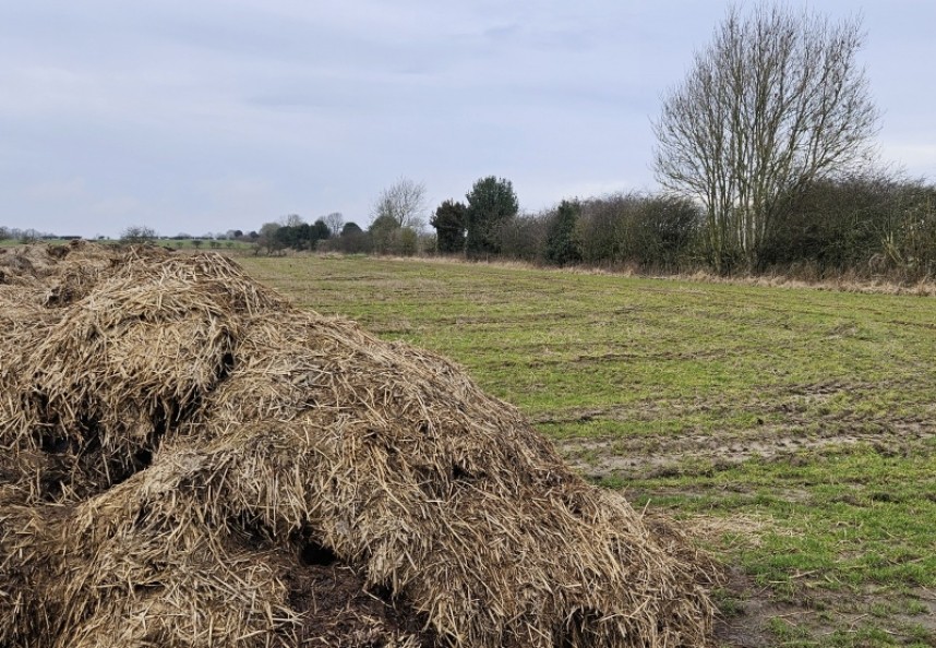  Where there's much there's birds! Cold Kirby farmland © Richard Baines