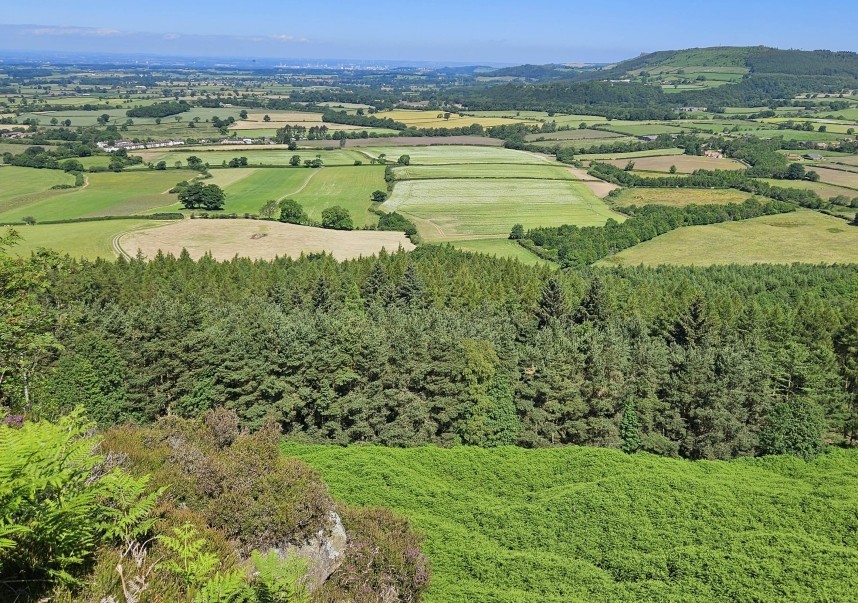 The view above Bankfoot looking north © Richard Baines