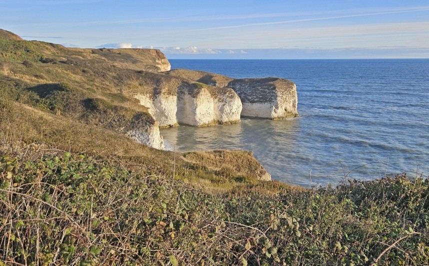  Flamborough Cliffs © Richard Baines