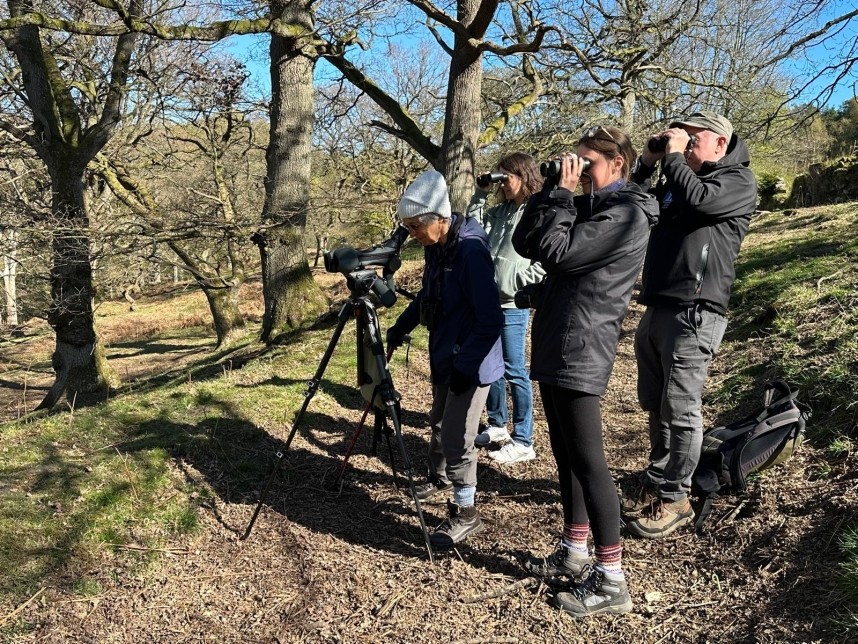  YCN Firetail Group - North Yorkshire Spring 2026