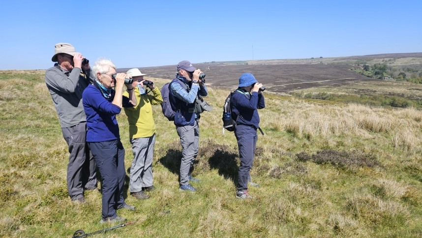  YCN Firetail Group - North Yorkshire Spring 2026