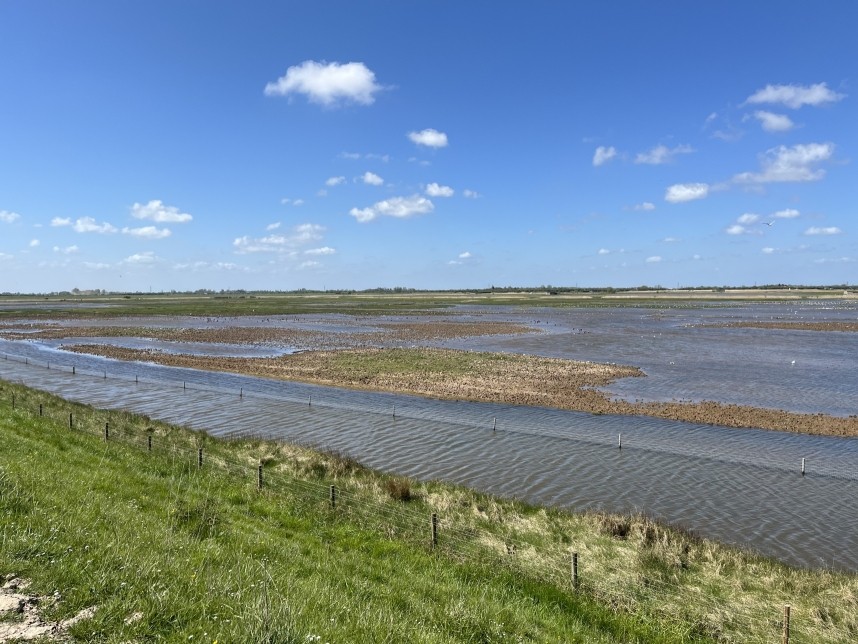  Frampton Marsh RSPB - © Margaret Boyd
