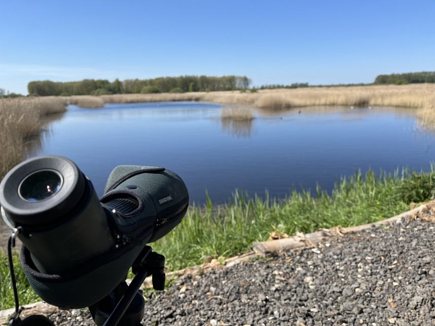  Lakenheath RSPB - © Margaret Boyd