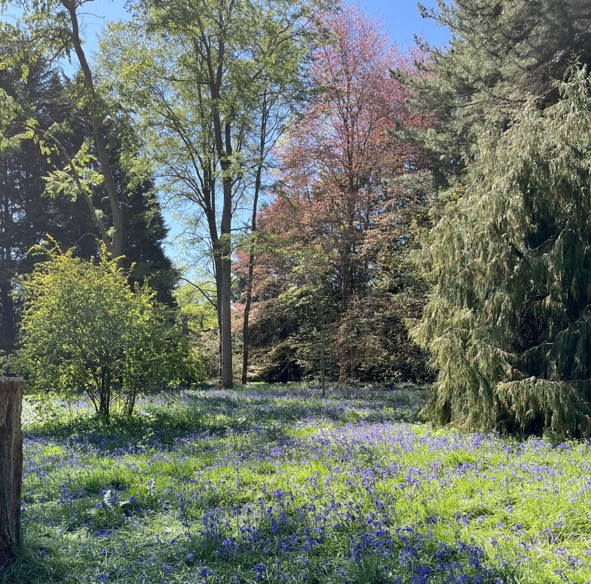  Lynford Arboretum - Norfolk 2026 © Margaret Boyd