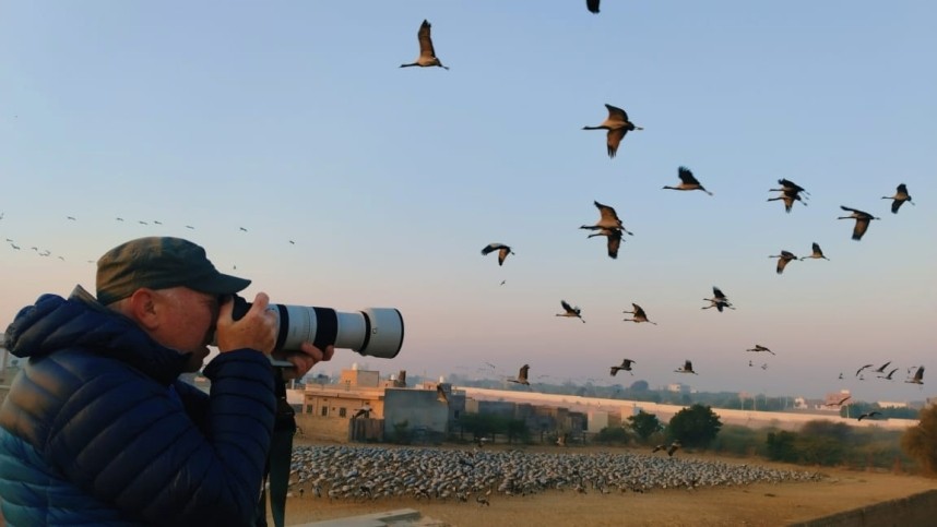 Photographing Demoiselle Cranes 14 January