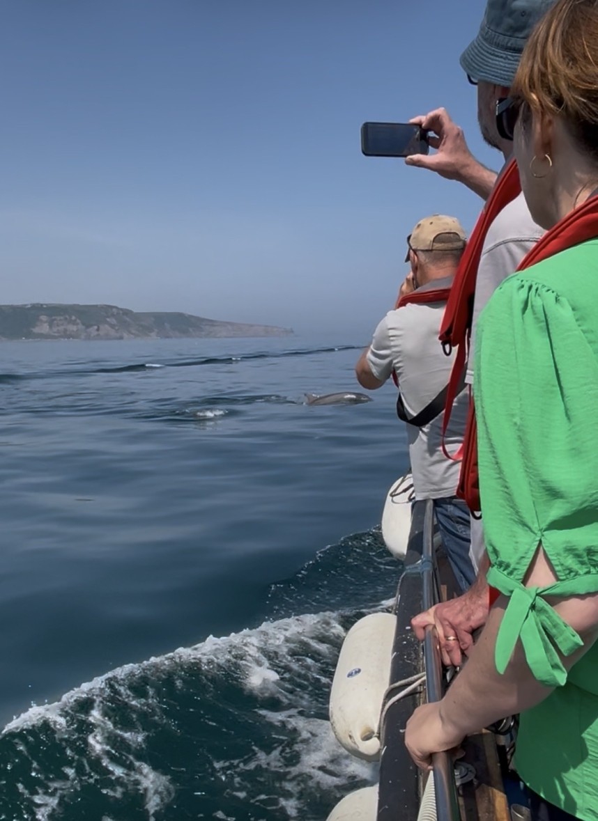 Bottlenose Dolphins - Yorkshire Coast Nature Seabird & Whale trip 10 July 2026 © Margaret Boyd