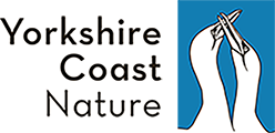 Yorkshire Coast Nature