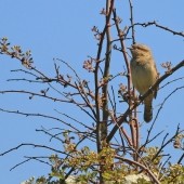 Spurn in spring - an unforgettable YCN Week!