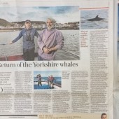 Daily Telegraph Review Sept 2019